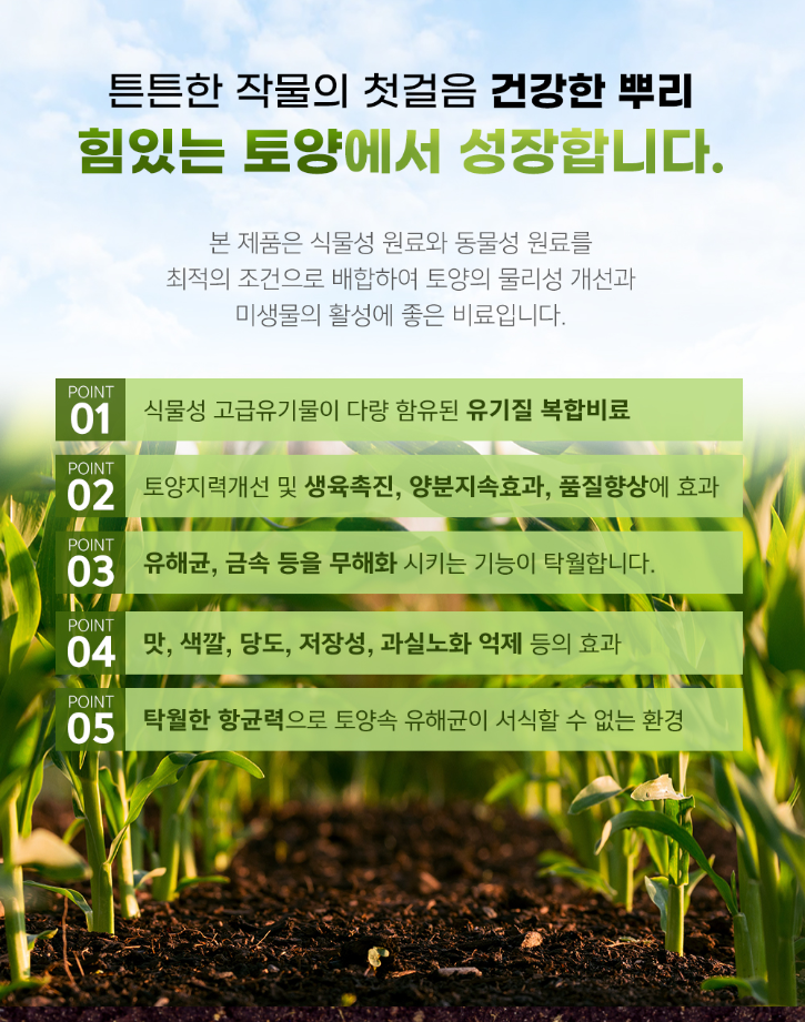 유박.png