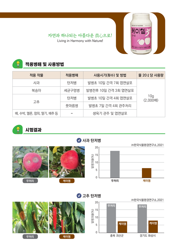 10.케이엠2.png