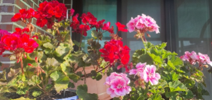 KakaoTalk_20230422_115913249_03.jpg