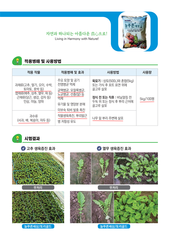 2.늘푸른세상.png