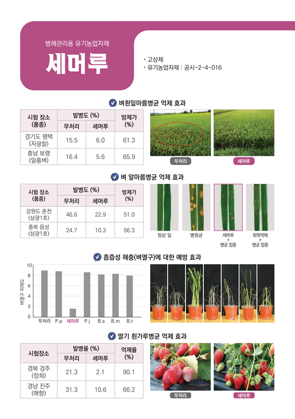 7.세머루3.png