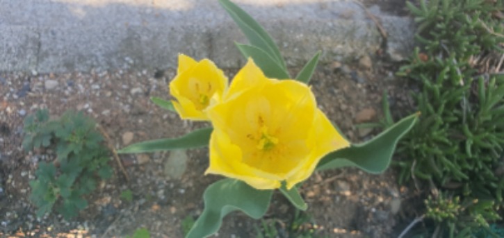 KakaoTalk_20230422_115913249_02.jpg