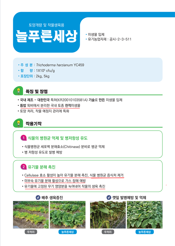 1.늘푸른세상.png