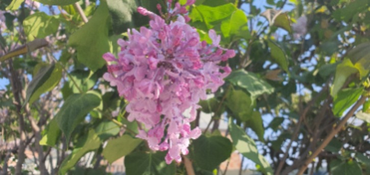 KakaoTalk_20230422_115913249_01.jpg