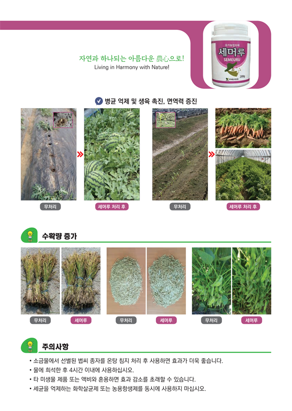 8.세머루4.png