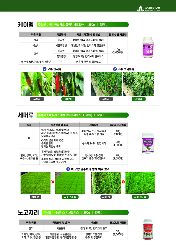 Artboard 304-100.jpg