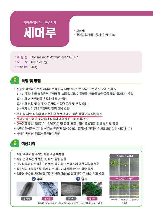5.세머루1.png