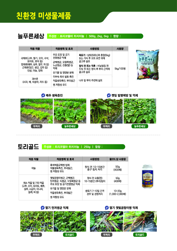 Artboard 303-100.jpg