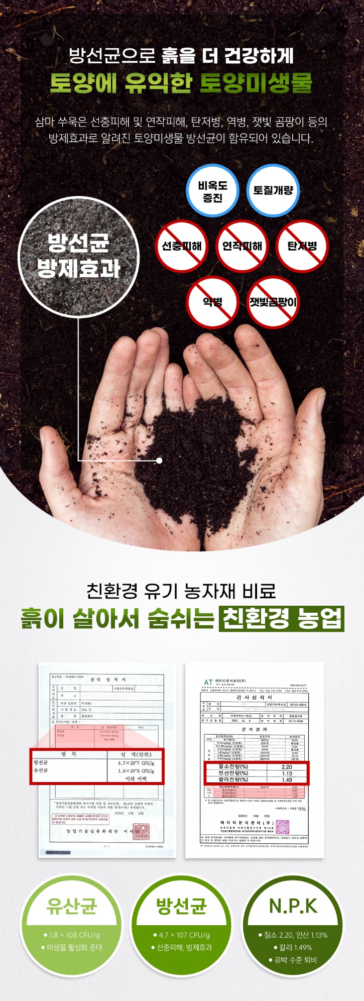06.jpg