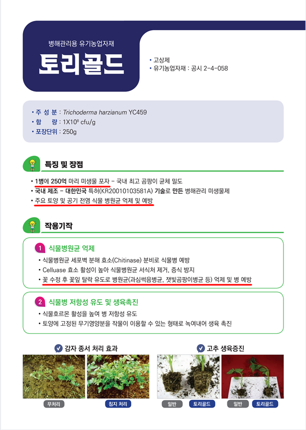 3.토리골드.png