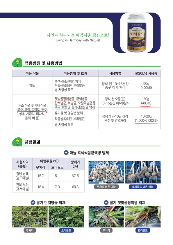 4.토리골드.png
