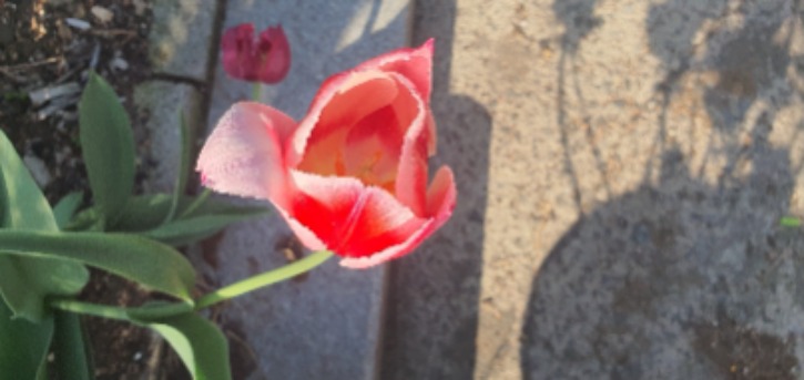 KakaoTalk_20230422_115913249.jpg