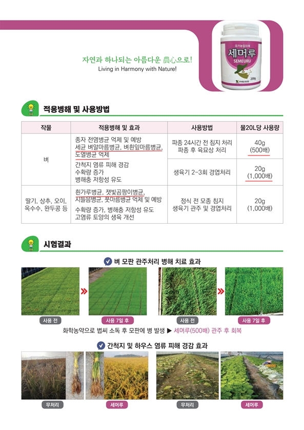6.세머루2.png